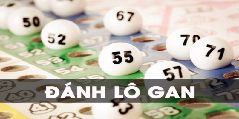 Các loại cá cược lô gan thường chơi