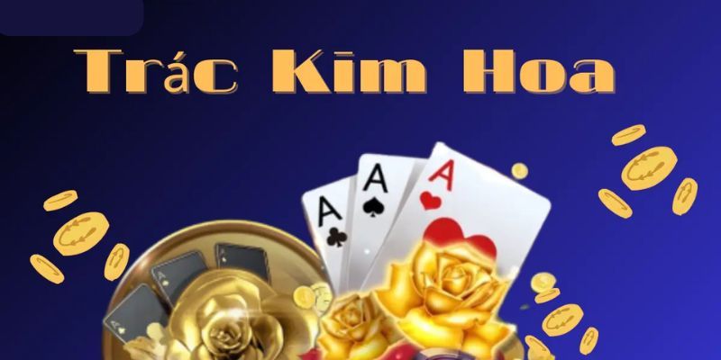 Sơ lược về Trác Kim Hoa 3D