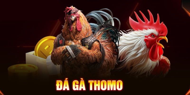 Thể thức đấu của một trận đá gà Thomo