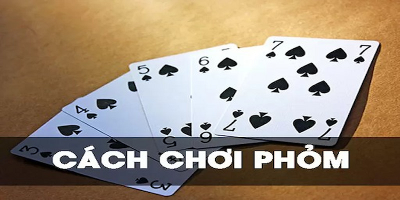 Tổng hợp chiến thuật chơi phỏm dễ dùng
